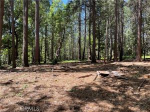55 Buckeye Forbestown CA 95941 | MLS #OR26203214 25 MLS #OR26203214 image #0