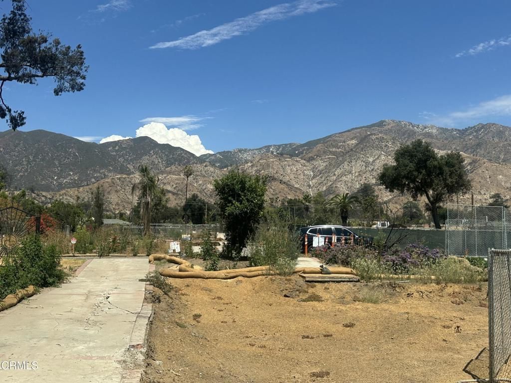 MLS #P1-24009 image #0