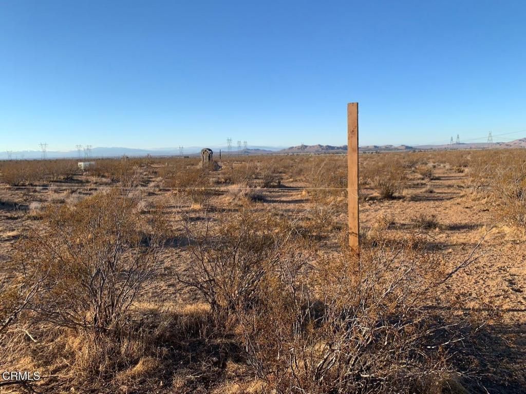 MLS #P1-24650 image #0