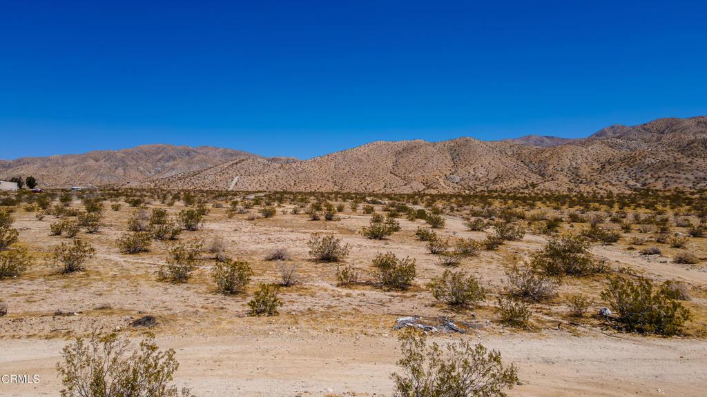 MLS #P1-27365 image #0