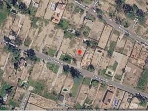 MLS #P1-28489 image #0