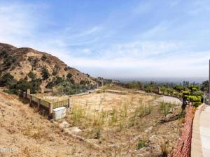 MLS #P1-28670 image #0