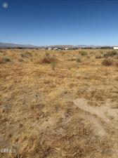 A10 Vic Vac Avenue Lancaster CA 93536 | MLS #P1-29061 45 MLS #P1-29061 image #0