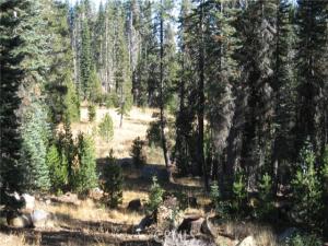 MLS #PA21038937 image #0