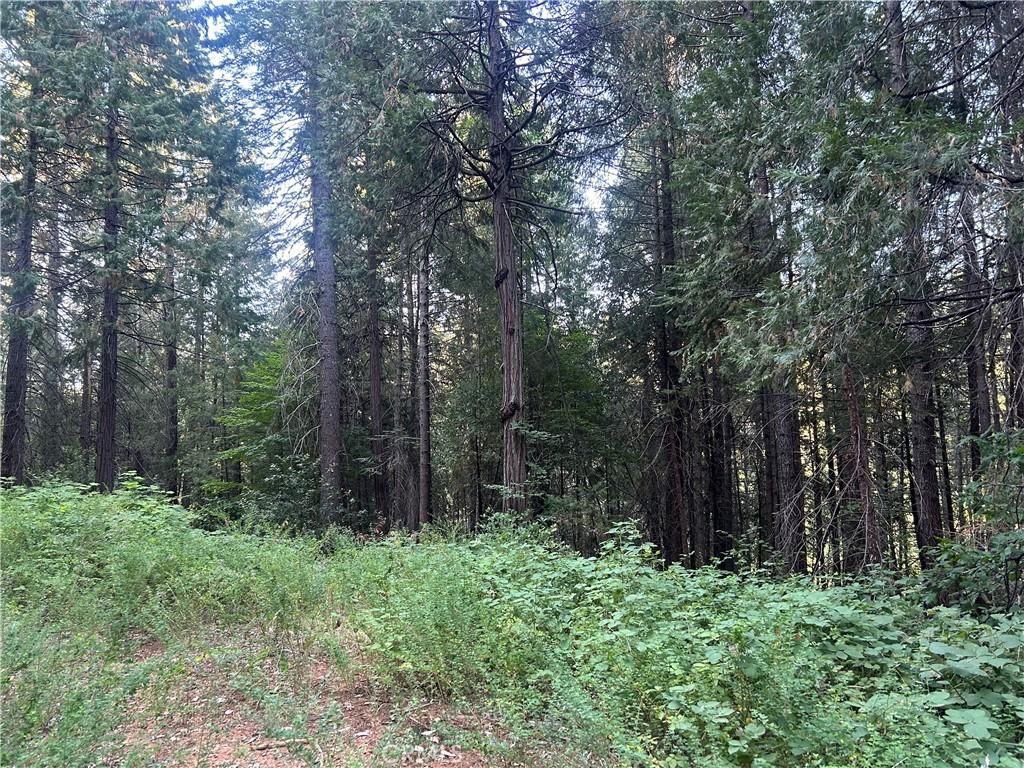 MLS #PA24150895 image #0