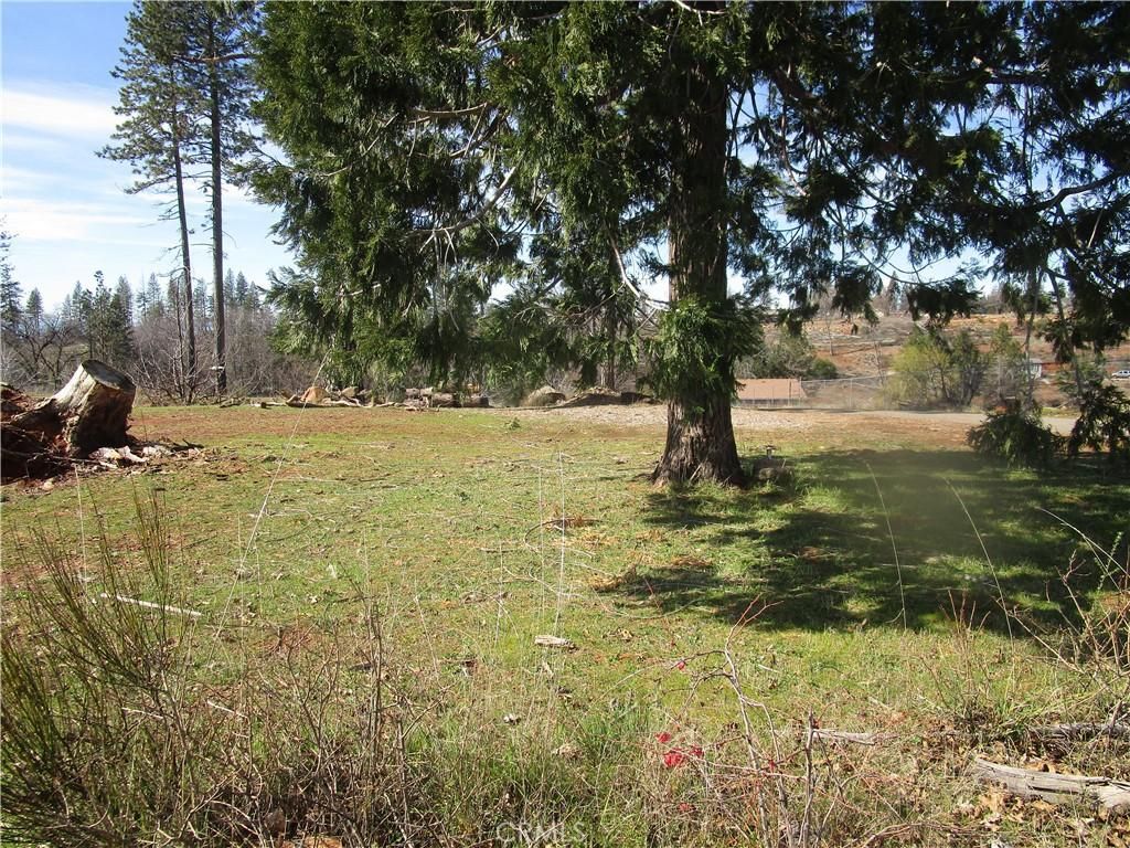 MLS #PA25046919 image #0