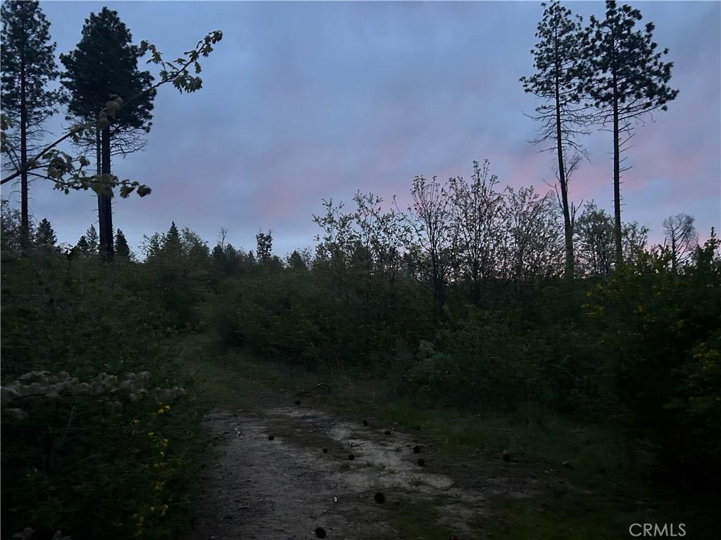MLS #PA25079861 image #0