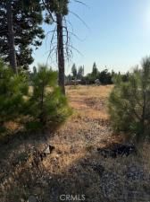 13945 Cascade DR Magalia CA 95954 | MLS #PA25156578 45 MLS #PA25156578 image #0