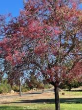 MLS #PA25246124 image #0