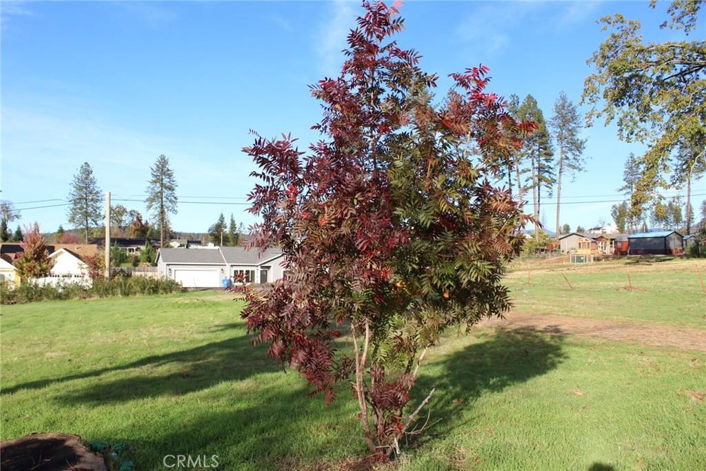 MLS #PA25262352 image #0