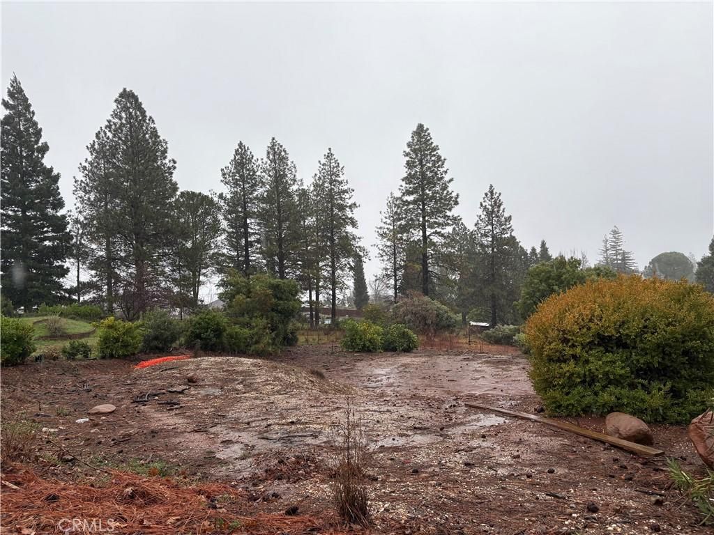2376 Clearview Paradise CA 95969 | MLS #PA25279467 45 MLS #PA25279467 image #0