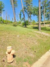 5389 Breezewood Paradise CA 95969 | MLS #PA26060096 45 MLS #PA26060096 image #0