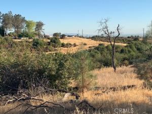 Mccann DR Paradise CA 95969 | MLS #PA26092220 45 MLS #PA26092220 image #0