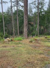 1684 Flicker Paradise CA 95969 | MLS #PA26101171 45 MLS #PA26101171 image #0
