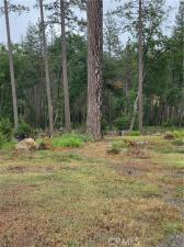MLS #PA26101171 image #0