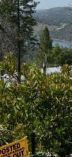 MLS #PA26116651 image #0