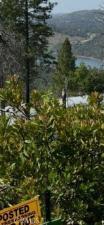 MLS #PA26116652 image #0