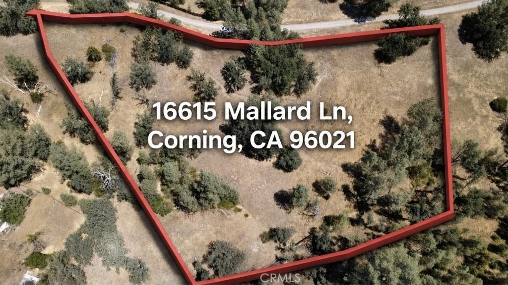 MLS #PA26140717 image #0