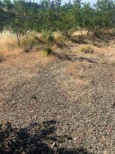 MLS #PA26144043 image #0