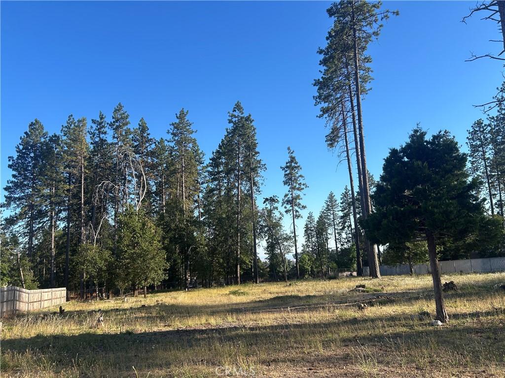 1356 Orput Paradise CA 95969 | MLS #PA26150908 45 MLS #PA26150908 image #0