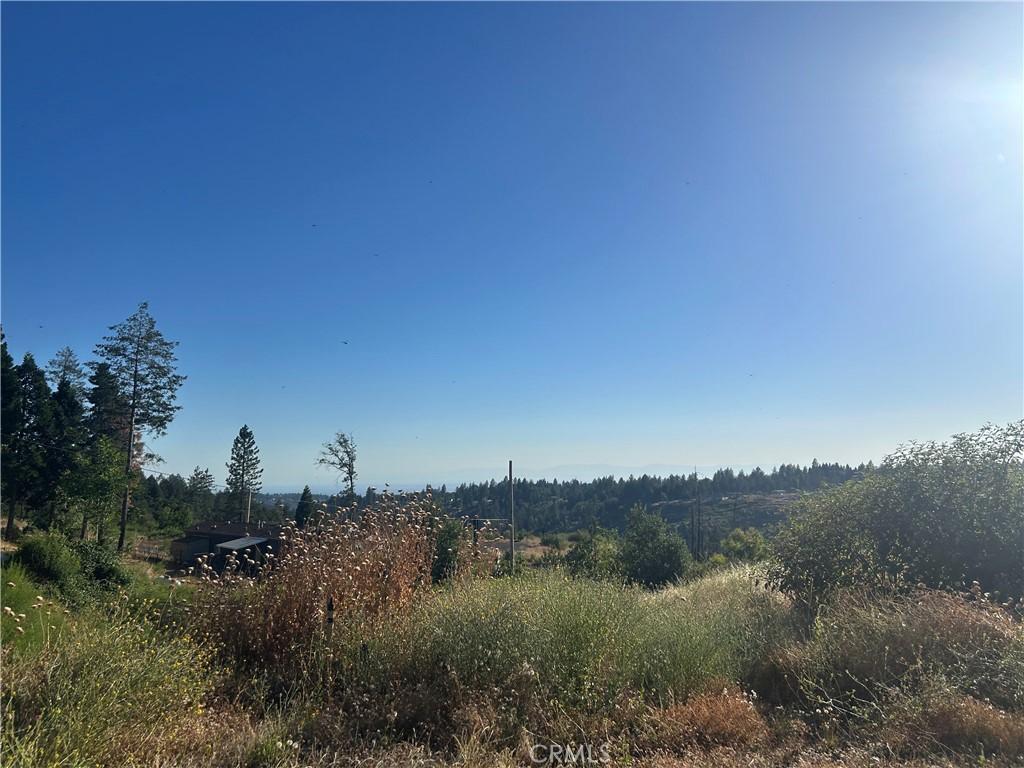 MLS #PA26150924 image #0