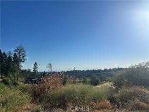 MLS #PA26150924 image #0