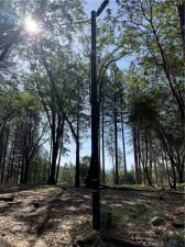catalpa Lot H Berry Creek CA 95916 | MLS #PA26153277 41 MLS #PA26153277 image #0
