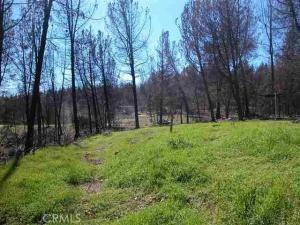 MLS #PA26153326 image #0