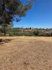 188 Redbud Paradise CA 95969 | MLS #PA26160631 45 MLS #PA26160631 image #0