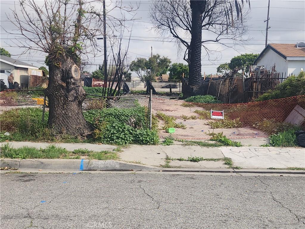 MLS #PF25068119 image #0