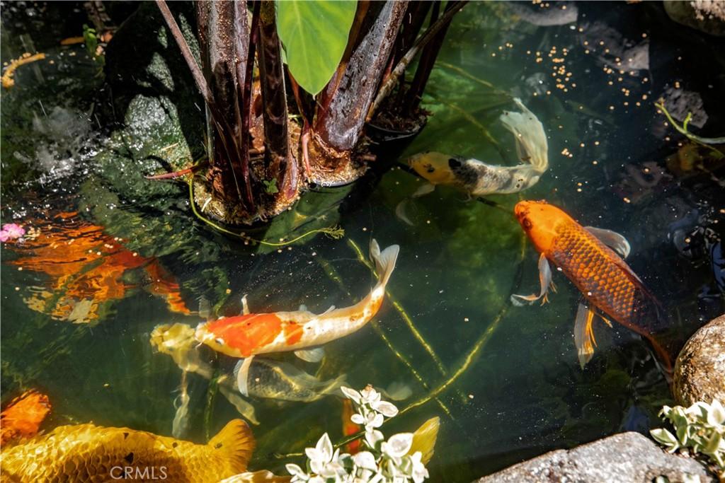 MLS #PF26022956 image #0