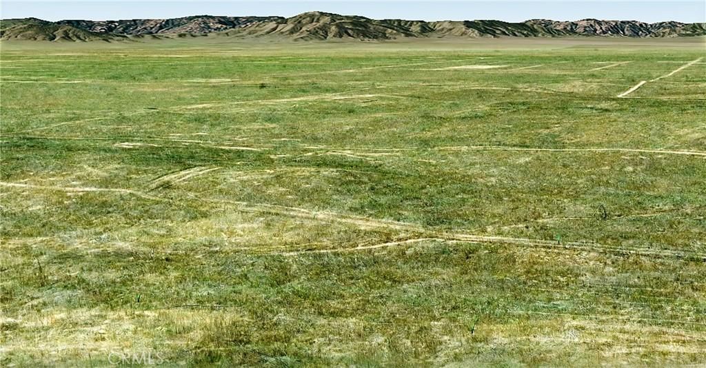 MLS #PI24148290 image #0