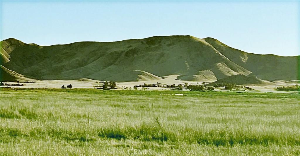 MLS #PI24248797 image #0