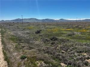 MLS #PI25016881 image #0