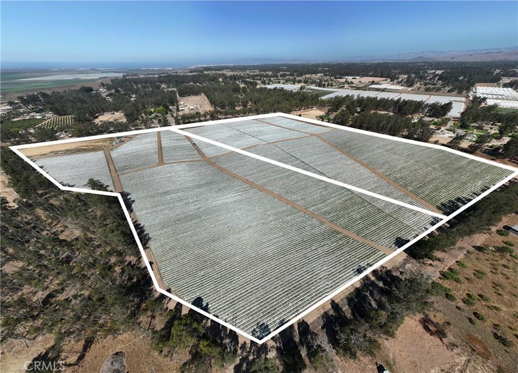 MLS #PI25034009 image #0