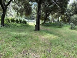 MLS #PI25095545 image #0