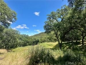 MLS #PI25109403 image #0