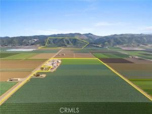 MLS #PI25136830 image #0