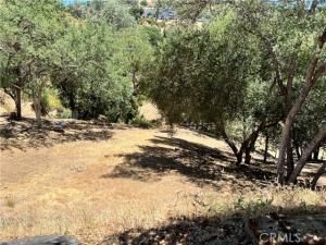 MLS #PI25138130 image #0