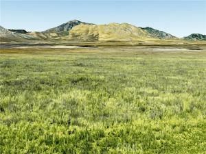 MLS #PI25138383 image #0