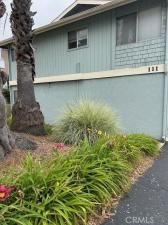 MLS #PI25147310 image #0