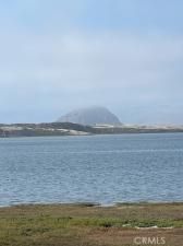 MLS #PI25156457 image #0