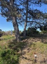 MLS #PI25190316 image #0