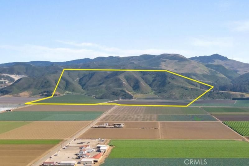 MLS #PI25199256 image #0