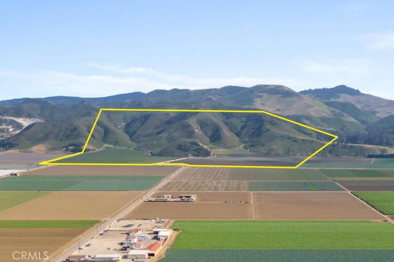 MLS #PI25199256 image #0