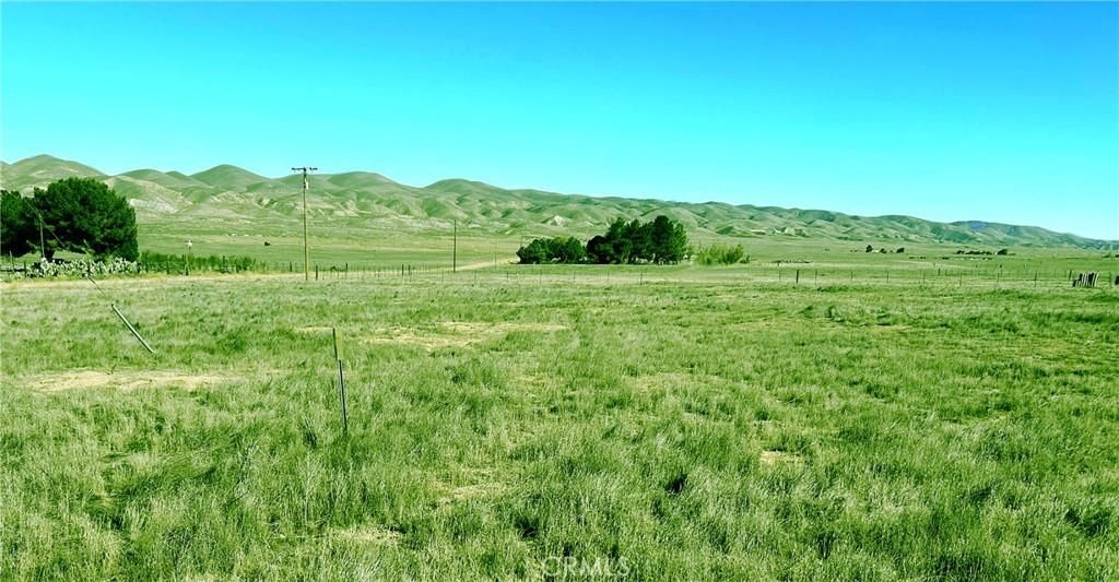 MLS #PI25203881 image #0