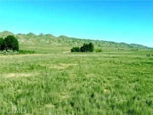 MLS #PI25203881 image #0