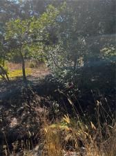 MLS #PI25222819 image #0