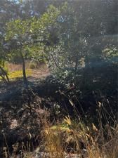 MLS #PI25222819 image #0