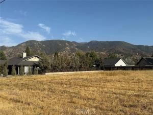 MLS #PI25226960 image #0